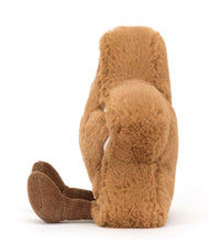 Load image into Gallery viewer, Amuseables Star Cookie