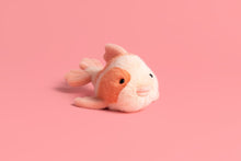 Load image into Gallery viewer, Fancy Carp