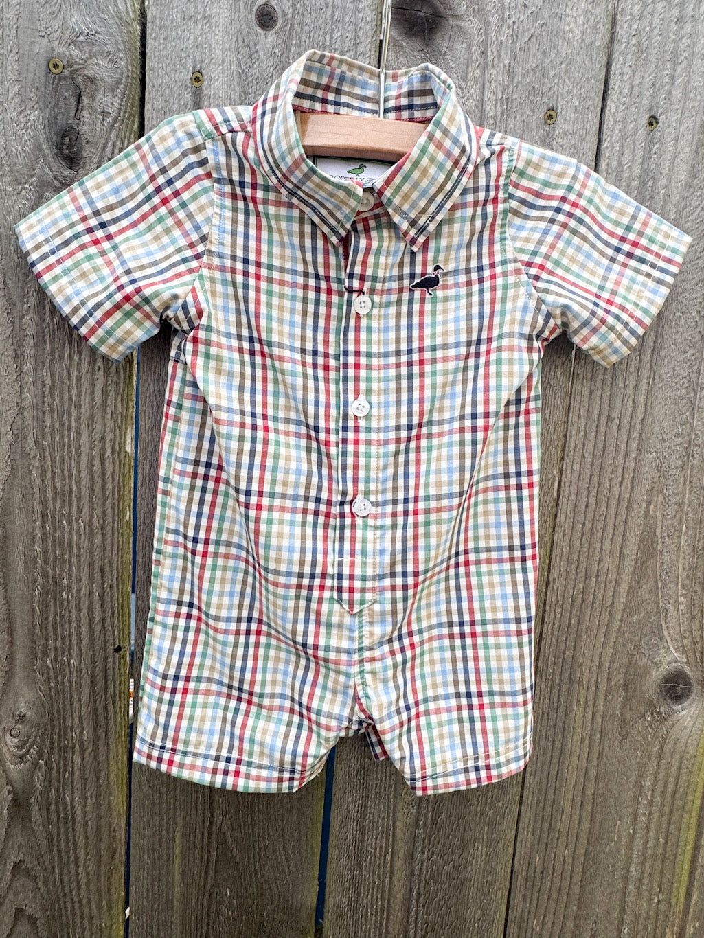 Baby Shortall In Autumn Trail