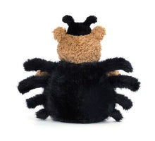 Load image into Gallery viewer, Bartholomew Bear Spider
