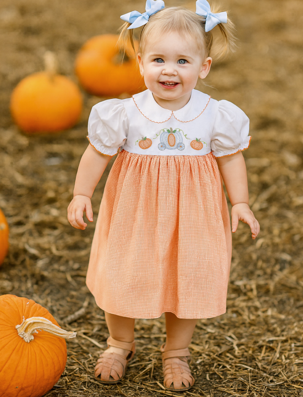 Pumpkin & Carriage Dress
