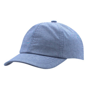Demin Chambray Embroidered Ball Cap - Dog