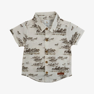 Nash Button Down - Tennessee Stud Size 3T only