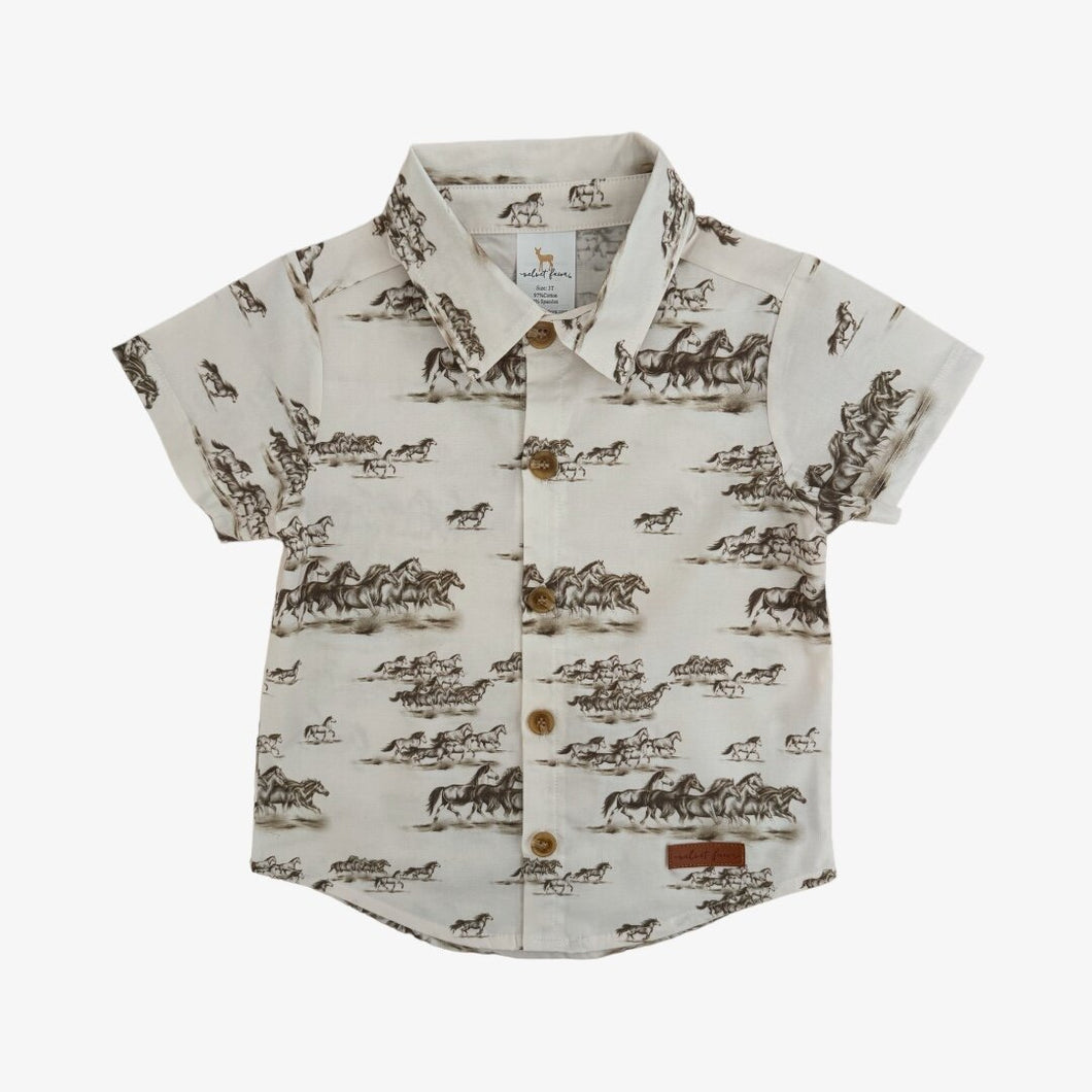 Nash Button Down - Tennessee Stud Size 3T only