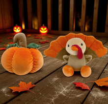 Load image into Gallery viewer, Plumpkin the Pumpkin - Plush
