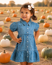 Load image into Gallery viewer, Chambray Shirt Dress

