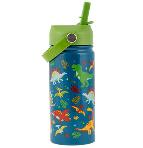 Insulated Stainless Steel Water Bottle (Assorted)