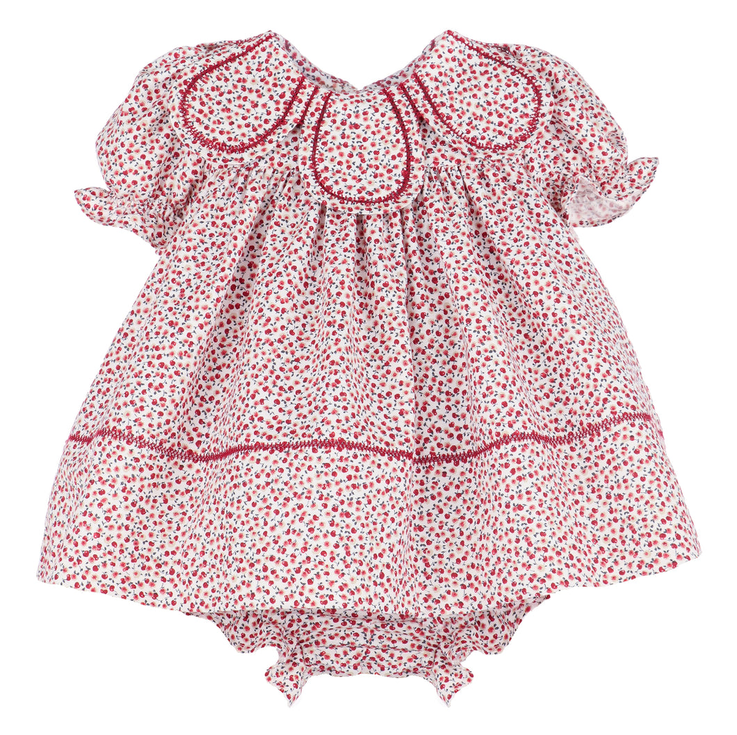 Apple Orchard Red Petal Float Dress