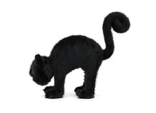 Load image into Gallery viewer, Spookipaws Cat
