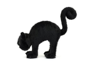Spookipaws Cat