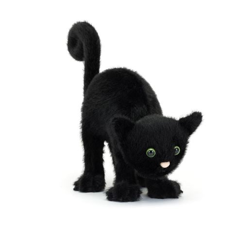 Spookipaws Cat