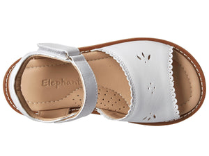 Elephantito Girl's Classic Scalloped Sandal w/ Strap - White